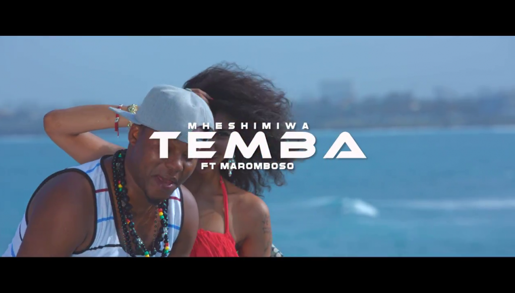 Temba Song Temba – DJ Mwanga