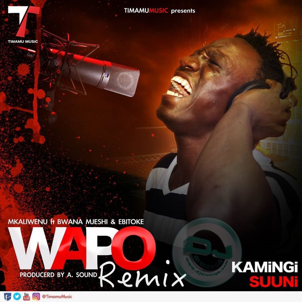 Mkaliwenu - WAPO Remix