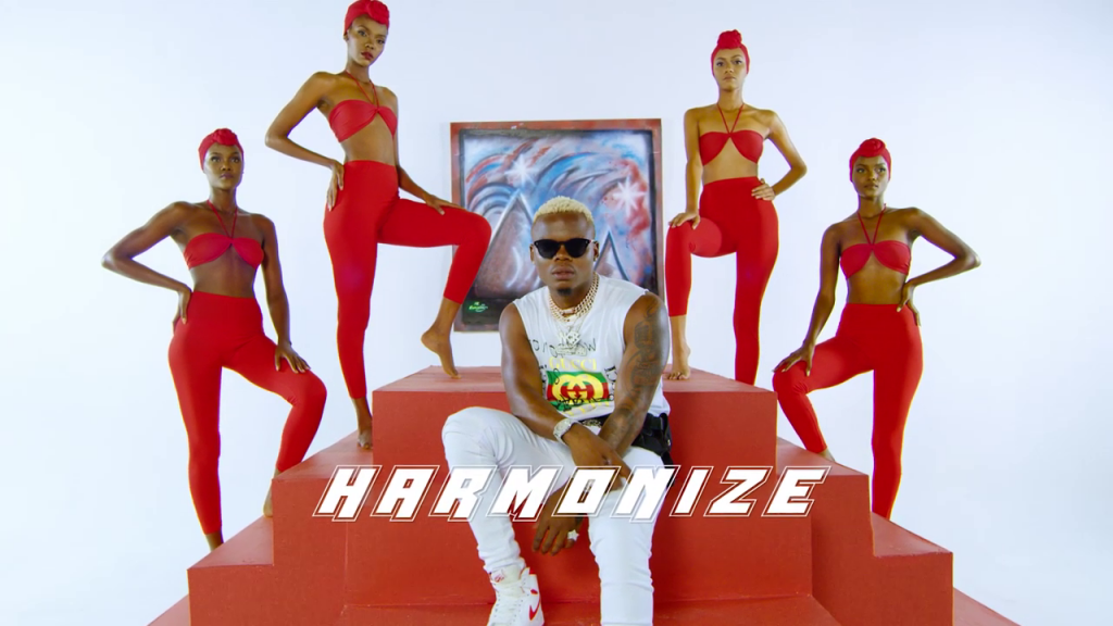 Download Mp4 VIDEO Harmonize x Rayvanny - Paranawe