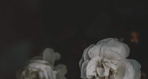 Lyrics Archives Dj Mwanga