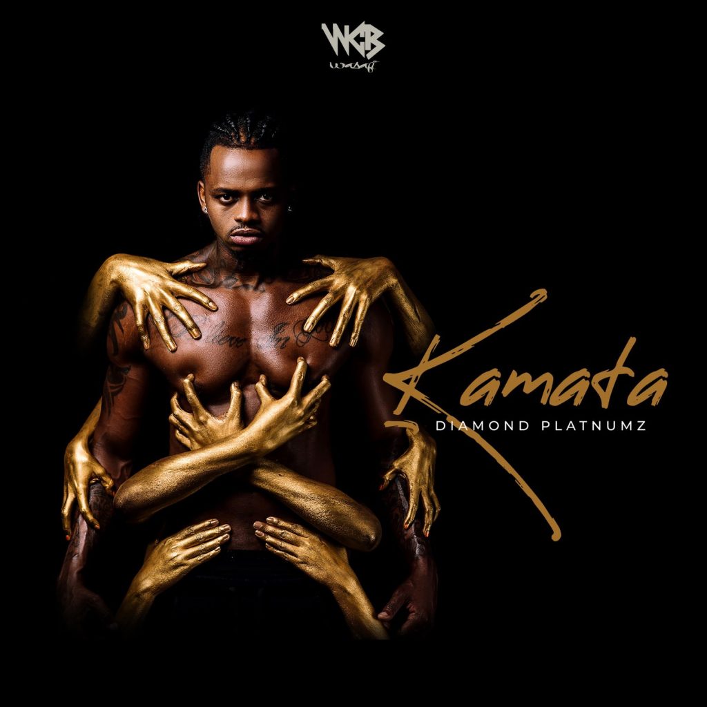 Songi Songi Mp3 Download Dj Mwanga AUDIO | Diamond Platnumz - Kamata | Download - DJ Mwanga