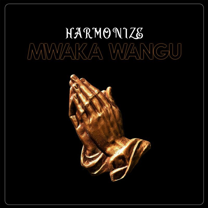 AUDIO | Harmonize – Mwaka Wangu | Download