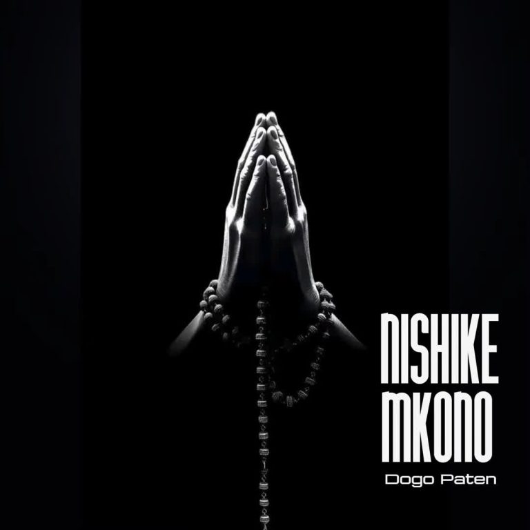 AUDIO | Dogo Paten | Nishike Mkono | Download and Stream